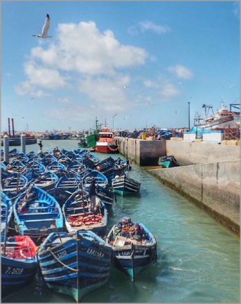 Marrakech Excursions Marrakech Excursions